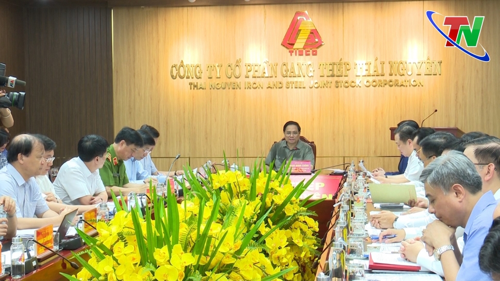 Thủ tướng Chính phủ yêu cầu khẩn trương tìm phương án xử lý Dự án Gang thép Thái Nguyên
