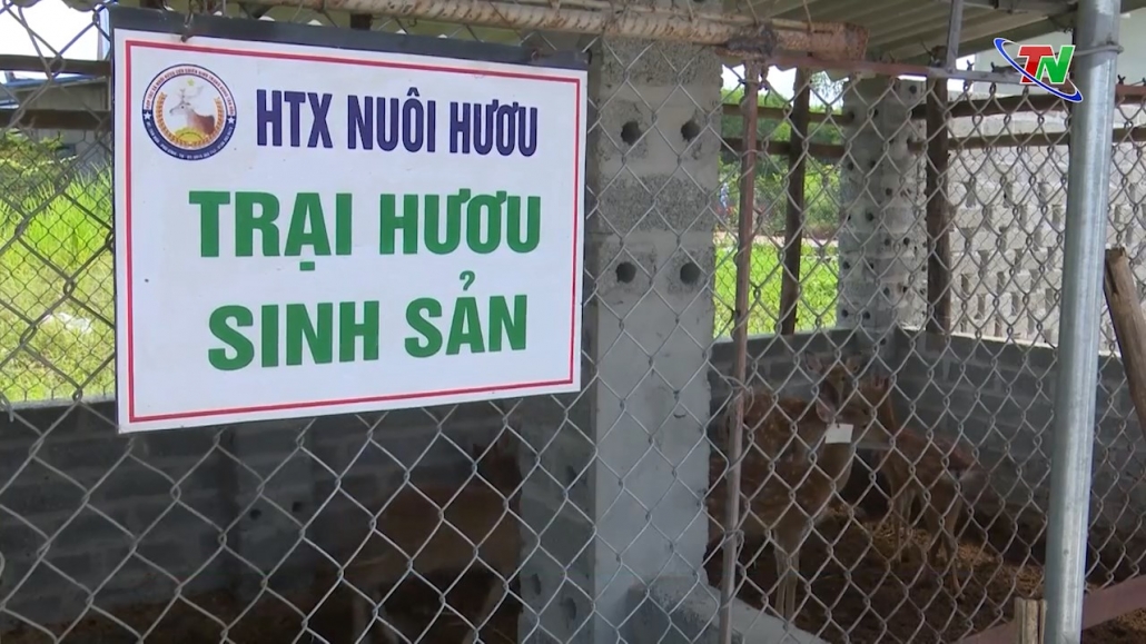 Nông thôn mới Phú Bình: Còn khó ở tiêu chí số 13