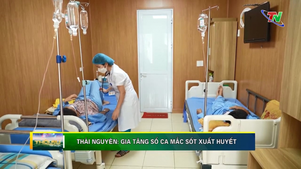 Thái Nguyên: Gia tăng số ca mắc sốt xuất huyết