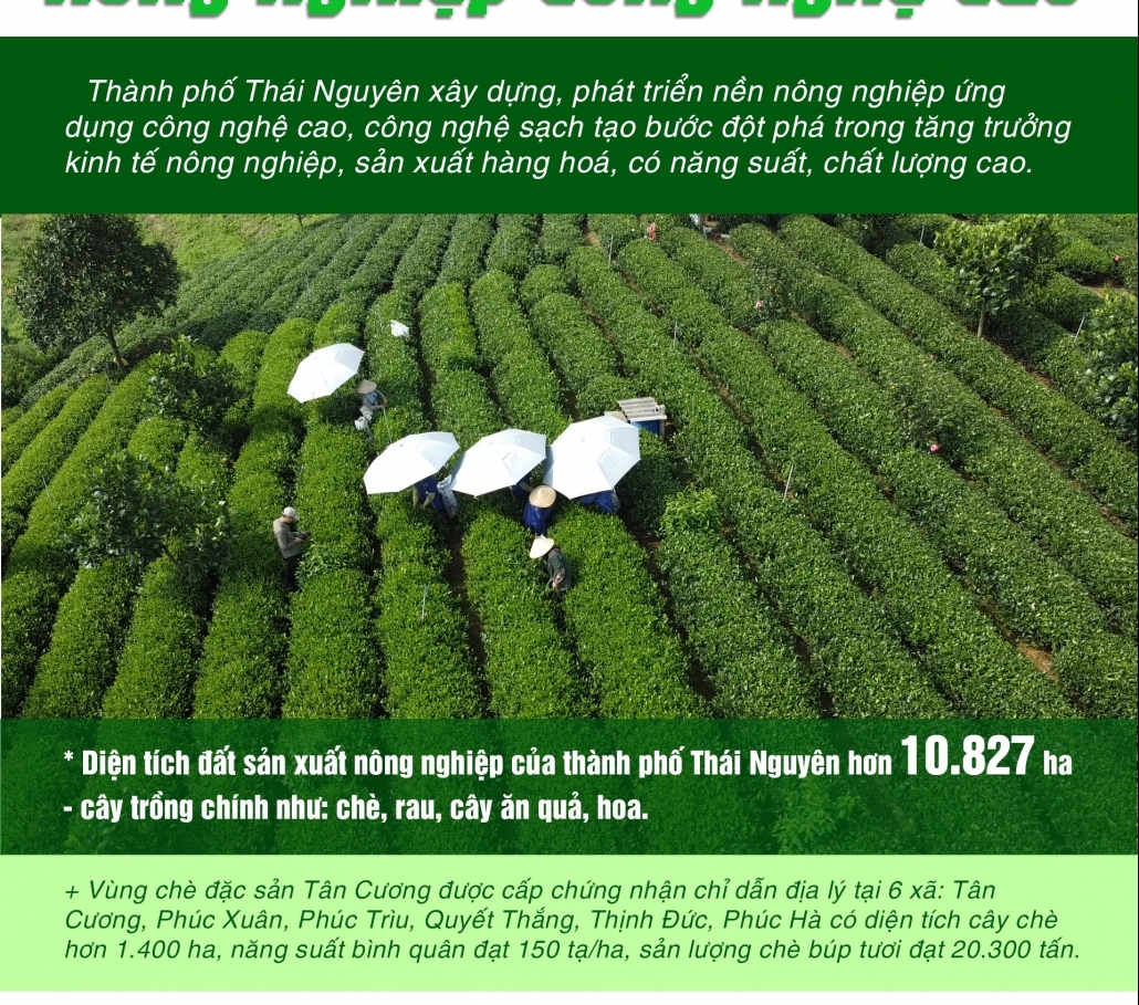 [Infographic] Thành phố Thái Nguyên: Đột phá tăng trưởng từ phát triển nông nghiệp công nghệ cao