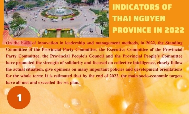 [Infographic] Major economic indicators of Thai Nguyen province in 2022
