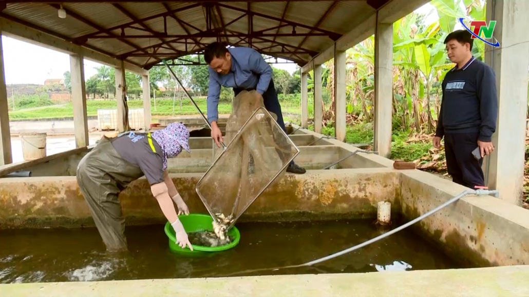 Thái Nguyên: Nâng cao chất lượng giống thủy sản