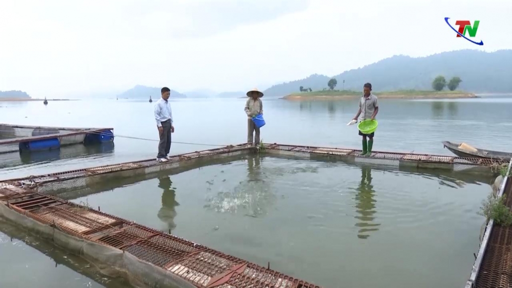 Thái Nguyên: Nâng cao chất lượng giống thủy sản
