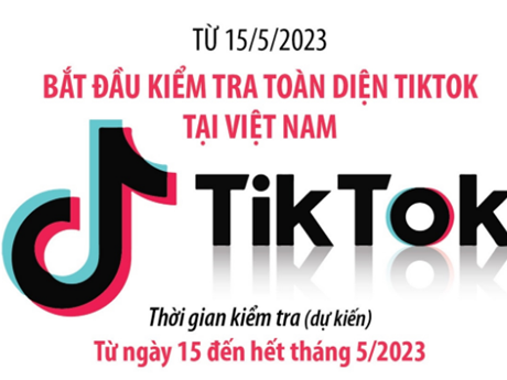 Bắt đầu kiểm tra TikTok tại Việt Nam