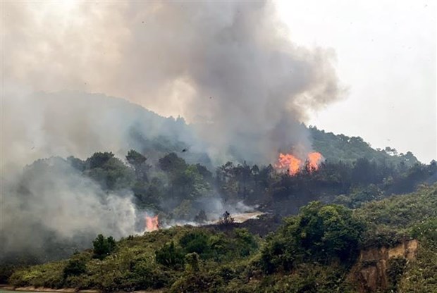 Hình ảnh biển lửa khủng khiếp vụ cháy rừng khiến 62 người chết ở Bồ Đào Nha   Kiểm Sát Online