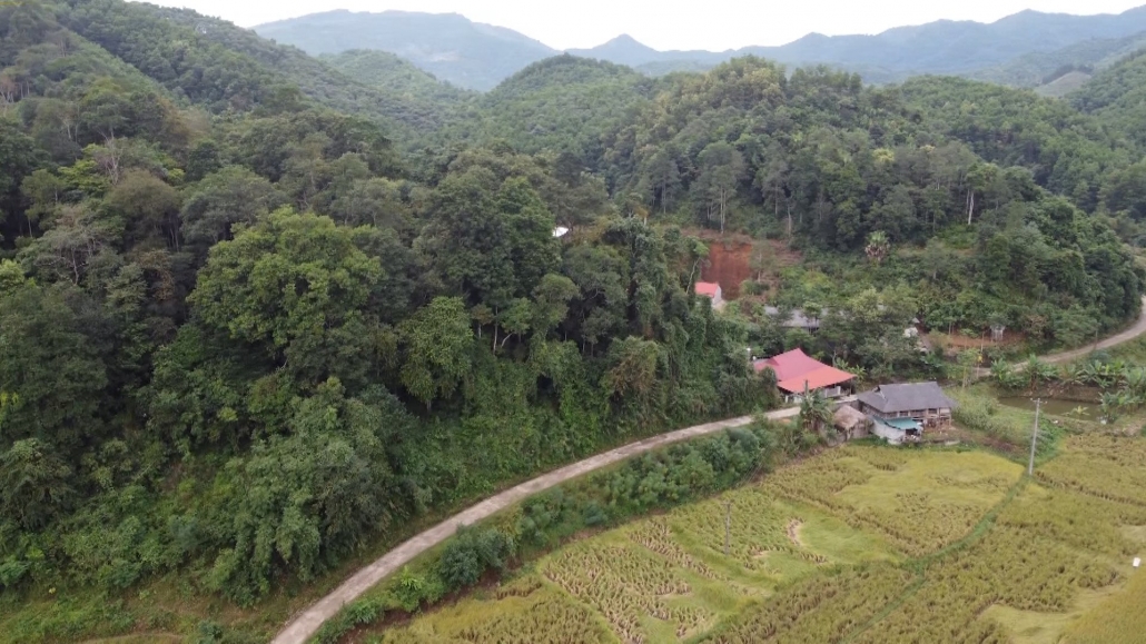 Ý kiến cử tri về 3 loại rừng của xã Bảo Linh