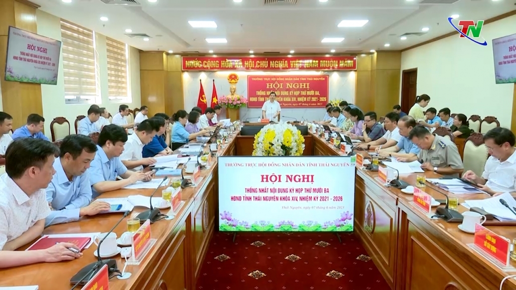 Hội nghị thống nhất nội dung Kỳ họp thứ 13 HĐND tỉnh