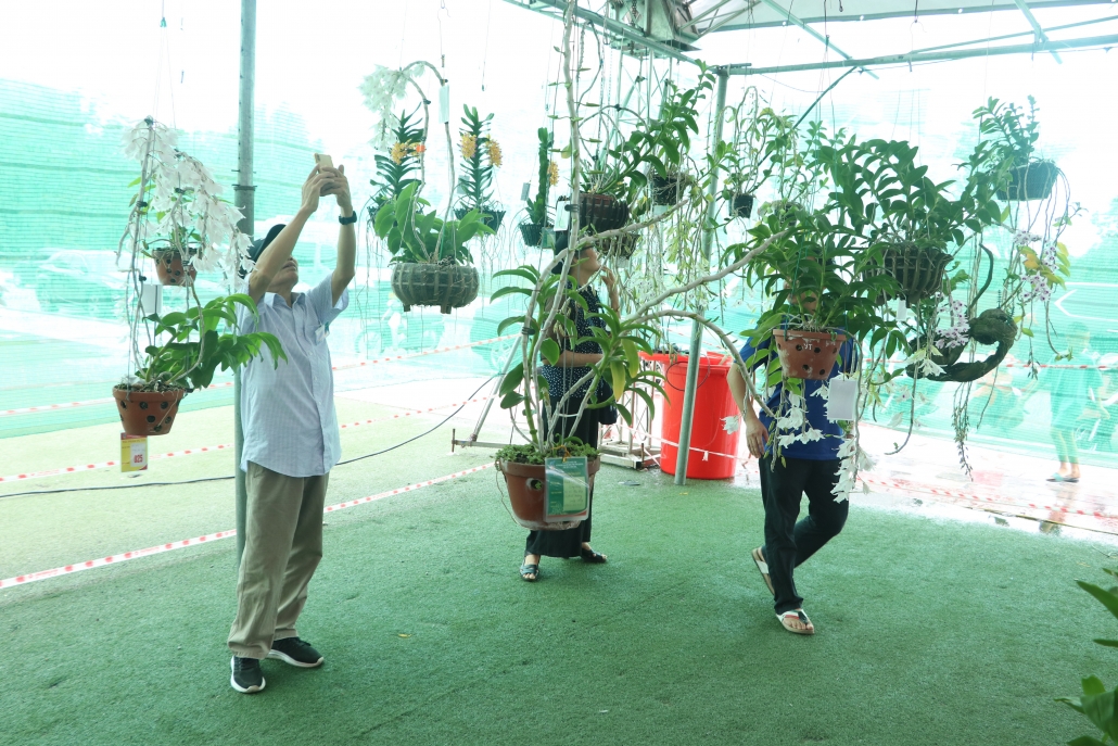 [Photo] Trên 500 tác phẩm hoa Lan trưng bày tại Triển lãm và Hội thi hoa Lan mở rộng tỉnh Thái Nguyên