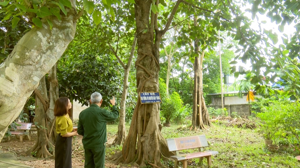 Về thăm di tích chùa Thịnh Đán