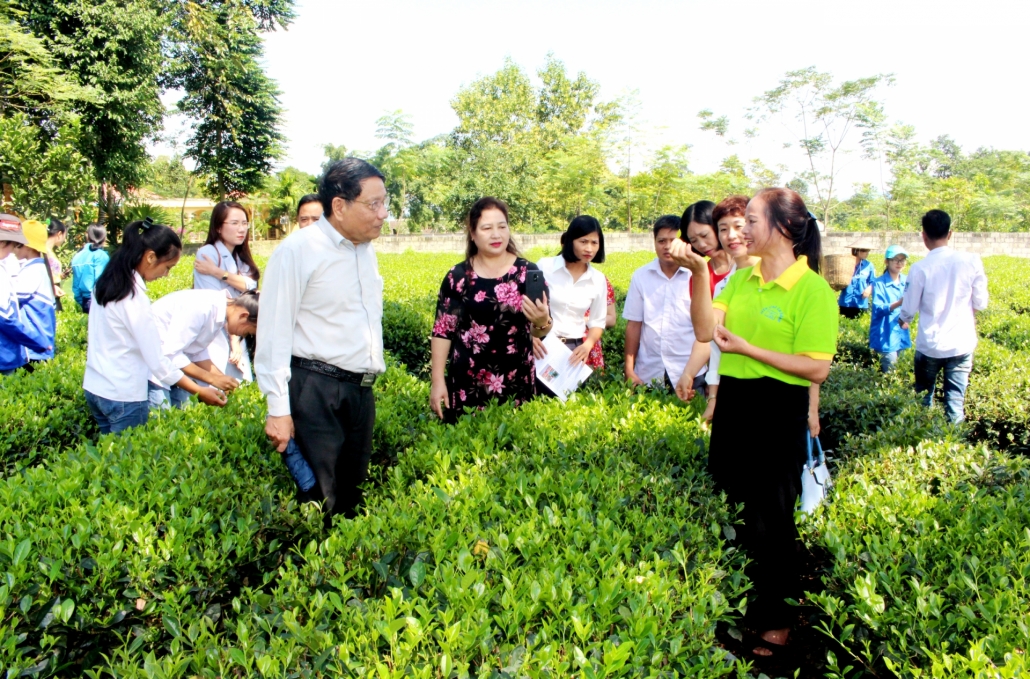 Dai Tu District Farmers' Association: Many solutions to help members develop economy