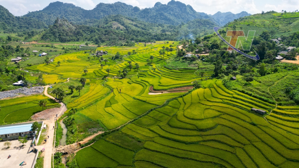 [Photo] Mùa vàng bản xa