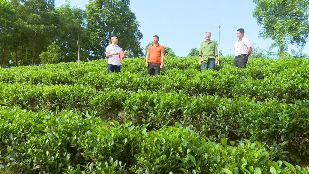 Hỗ trợ phát triển sản xuất, đa dạng sinh kế để thoát nghèo bền vững