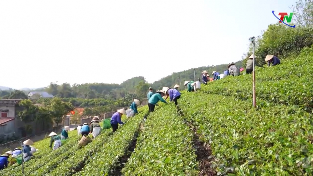 Thái Nguyên: Từng bước nâng cao các chỉ số hài lòng của hợp tác xã