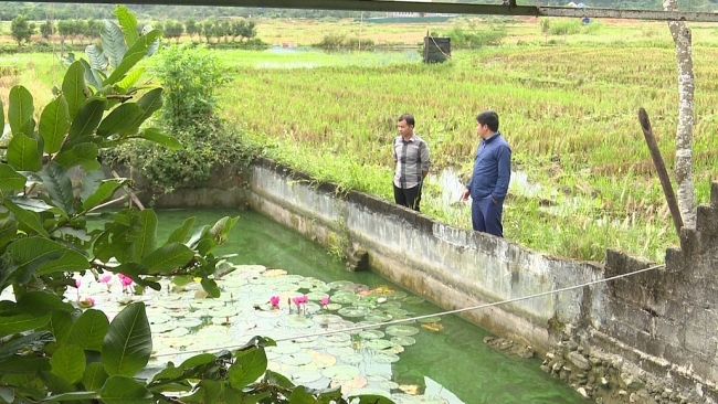 Chăm lo đời sống cho hội viên nông dân