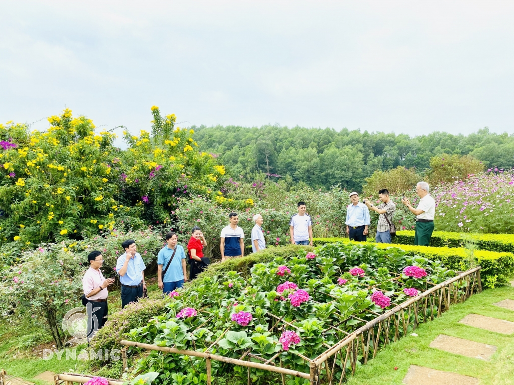 Family flower island