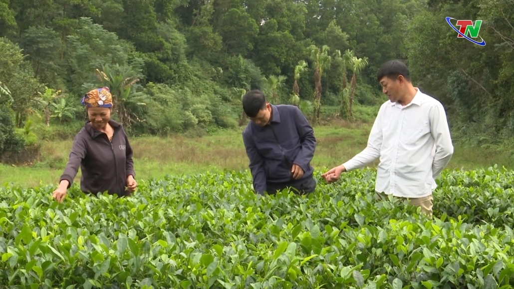 Đại Từ: Nhiều kết quả đáng ghi nhận trong công tác giảm nghèo