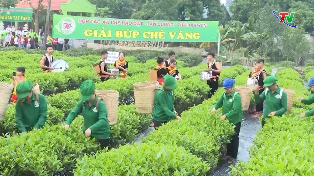 Dấu ấn nông nghiệp tỉnh Thái Nguyên 2023