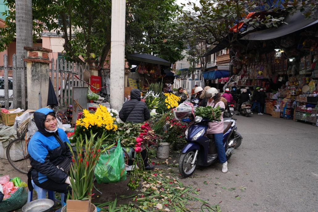 [Photo] Thái Nguyên: Làng hoa, làng rau tất bật vào vụ Tết