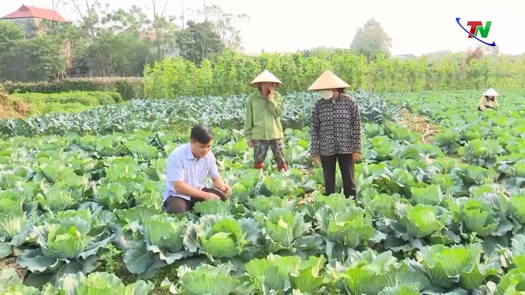 Chuyển đổi trên 4.600ha đất lúa kém hiệu quả