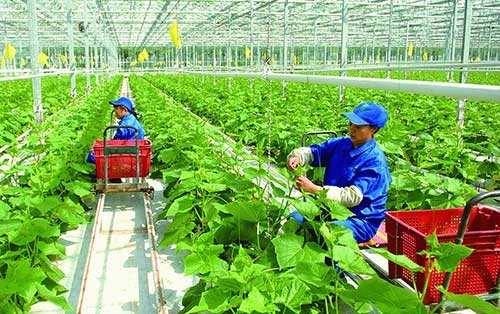 奋斗25%农业合作社以上应用科技进步