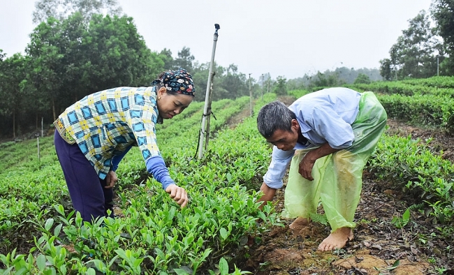 Provincial Farmers