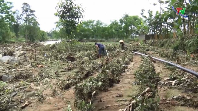 Thái Nguyên: Mưa dông gây thiệt hại  gần 9,8 tỷ đồng
