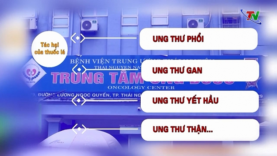 Hãy từ bỏ một thói quen xấu