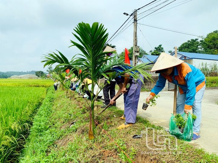 Dinh Hoa: Launching the Action Month for the Environment