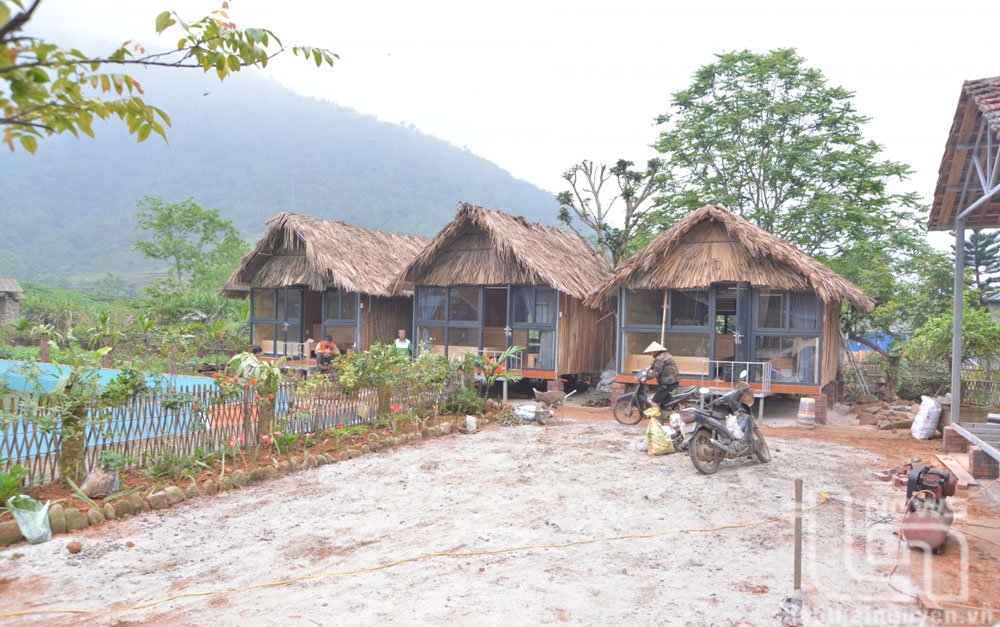 Dai Tu Homestay ready to welcome visitors