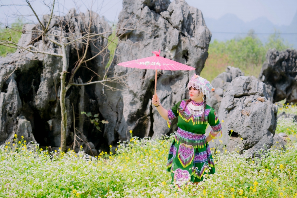 [Photo]Thung lũng hoa tam giác mạch ở Thái Nguyên