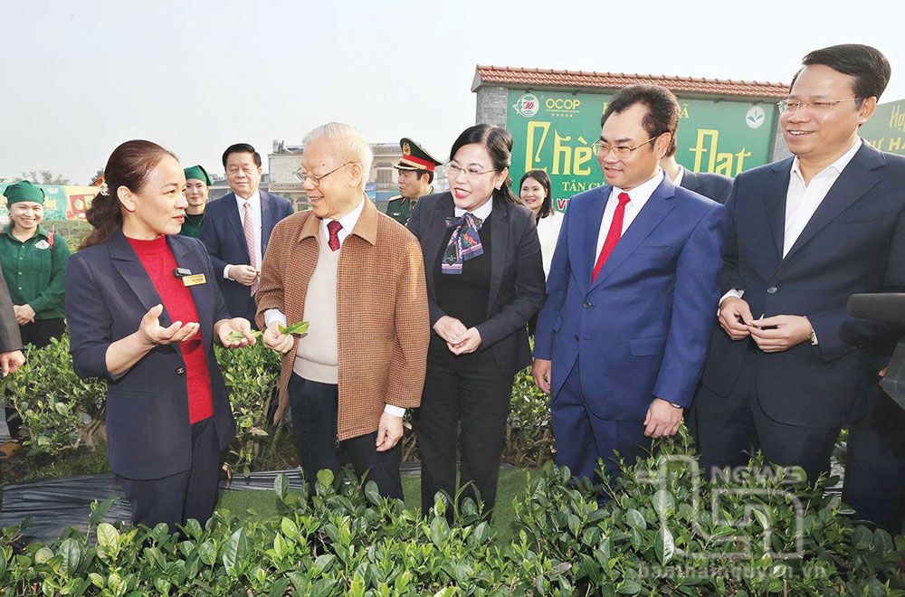 Tổng Bí thư Nguyễn Phú Trọng và Đoàn công tác đến thăm Hợp tác xã chè Hảo Đạt, ở xã Tân Cương, TP. Thái Nguyên (ngày 10/1/2023).