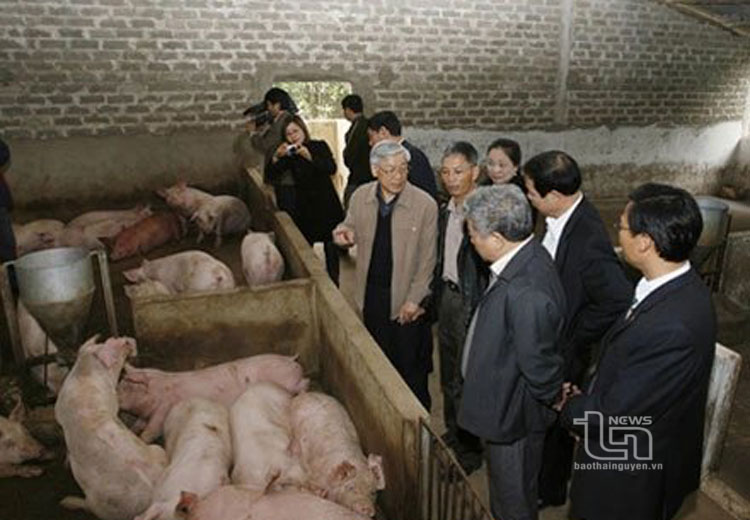 Ngày 30/12/2009, đồng chí Nguyễn Phú Trọng (trên cương vị Chủ tịch Quốc hội) thăm gia đình anh Nguyễn Văn Thái (đồng bào Công giáo), một hộ chăn nuôi lợn tiêu biểu ở xã Hùng Sơn (nay là thị trấn Hùng Sơn), huyện Đại Từ.