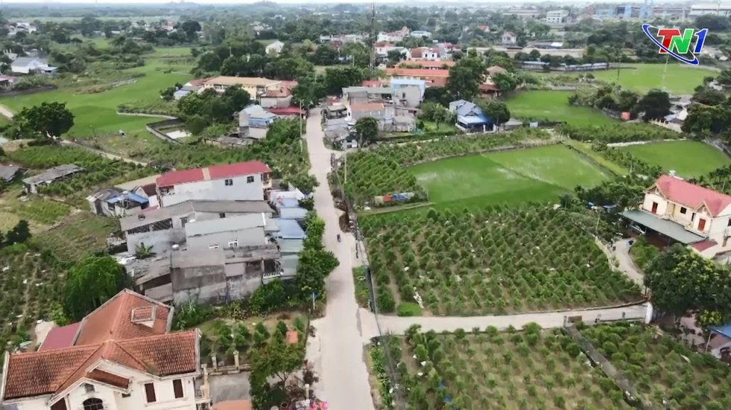 Giám sát, phản biện ngày càng đi vào thực chất