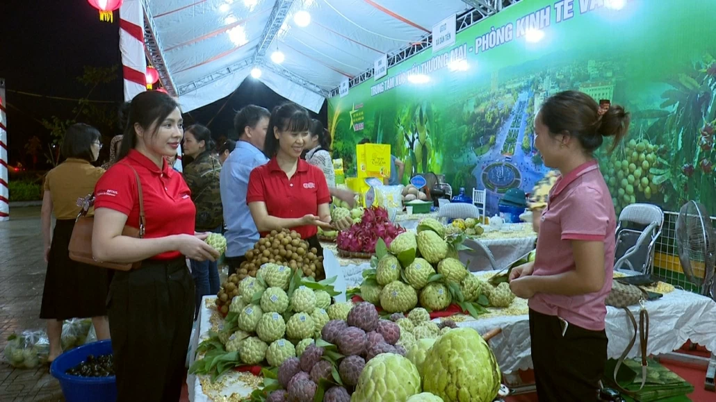 [Photo] Đẩy mạnh xúc tiến, kết nối tiêu thụ sản phẩm Na Võ Nhai và nông sản tỉnh Thái Nguyên