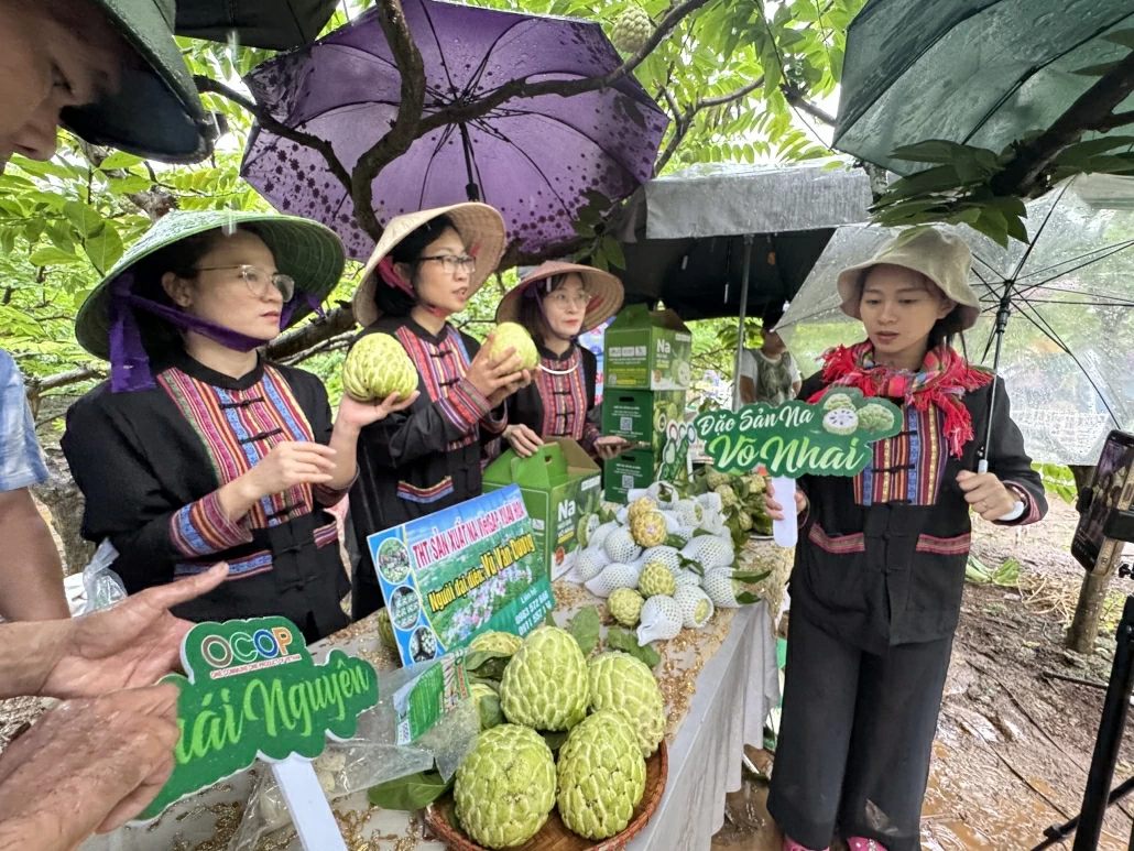 [Photo] Đẩy mạnh xúc tiến, kết nối tiêu thụ sản phẩm Na Võ Nhai và nông sản tỉnh Thái Nguyên