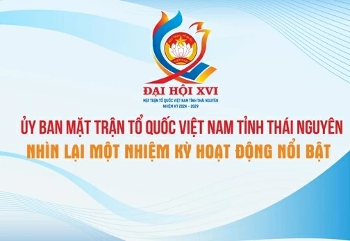 [Infographic] Ủy ban Mặt trận Tổ quốc Việt Nam tỉnh Thái Nguyên: Nhìn lại một nhiệm kỳ hoạt động nổi bật