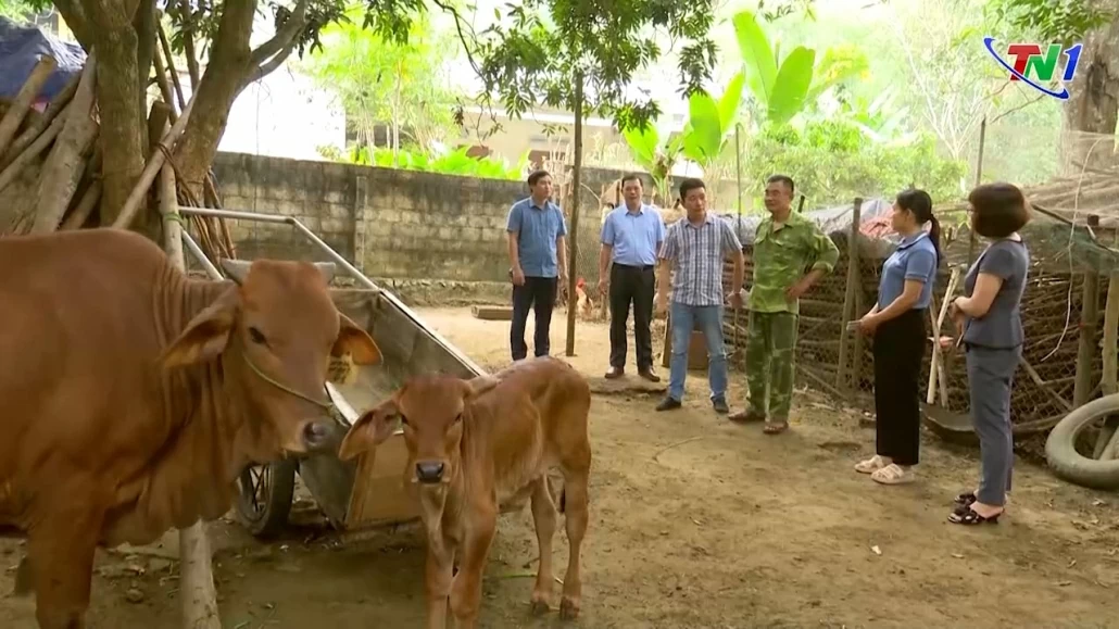 Tạo sinh kế giảm nghèo bền vững