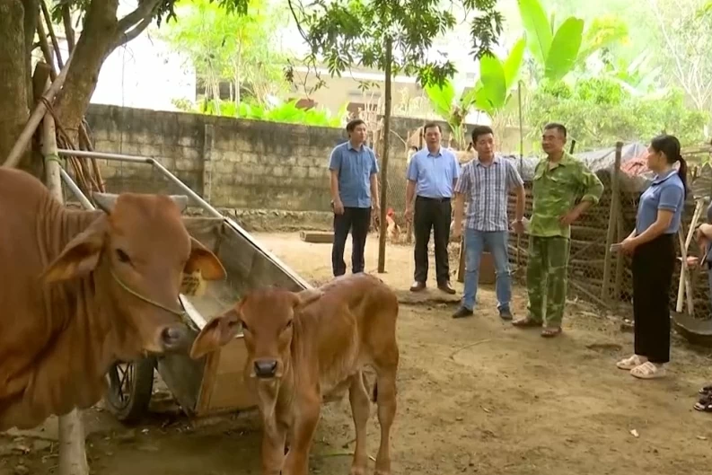 Tạo sinh kế giảm nghèo bền vững