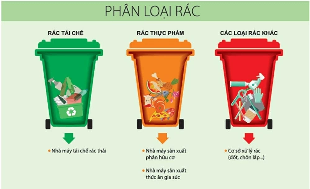 Communication, dissemination of knowledge, and laws on environmental protection in classification of domestic solid waste