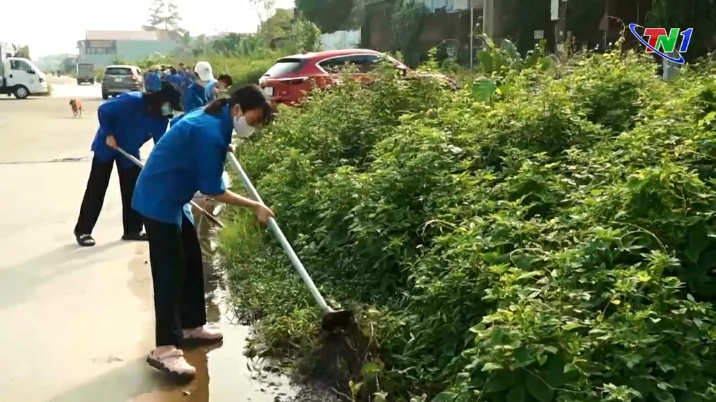 Đoàn viên thanh niên Đại học Thái Nguyên tham gia khắc phục hậu quả sau bão