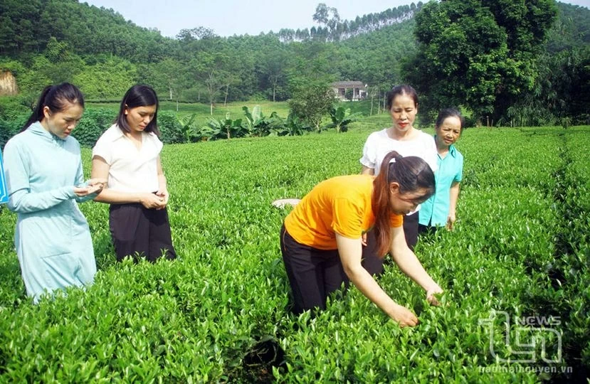 提高农业生产科技含量