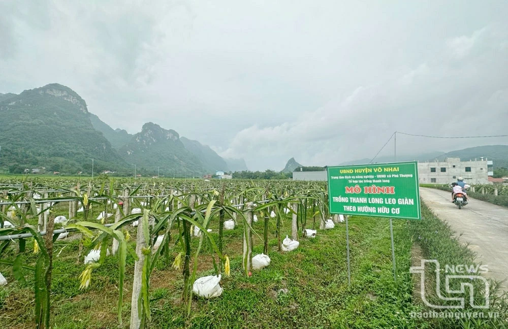 Green agriculture - an inevitable trend