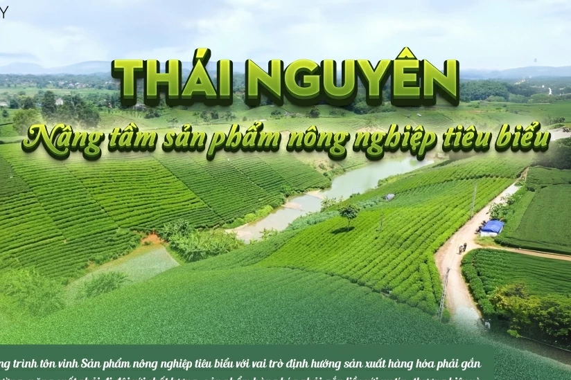 Thiết lập đồng bộ chính sách, chương trình hỗ trợ DN nhỏ và vừa