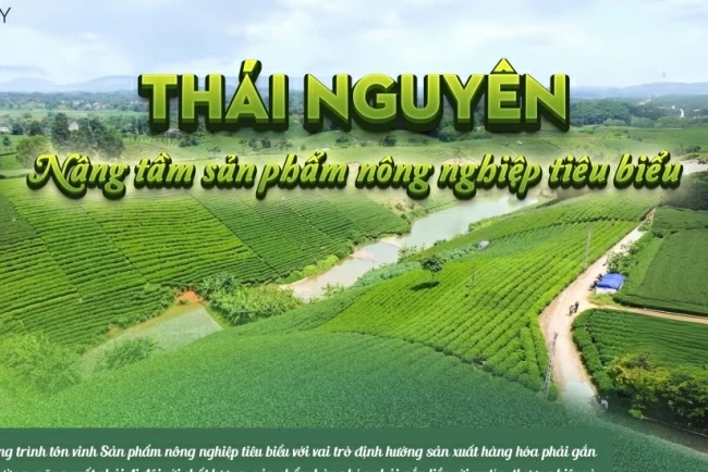 [Megastory] Thái Nguyên: Nâng tầm sản phẩm nông nghiệp tiêu biểu