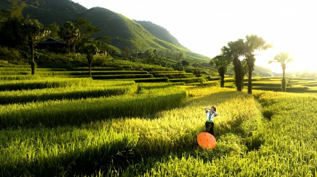 Bộ đội Biên phòng triệt phá chuyên án vận chuyển ma túy lớn tại Sơn La