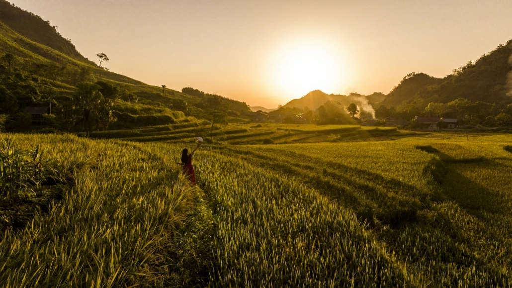 [Photo] Mùa lúa ở Bản Tèn