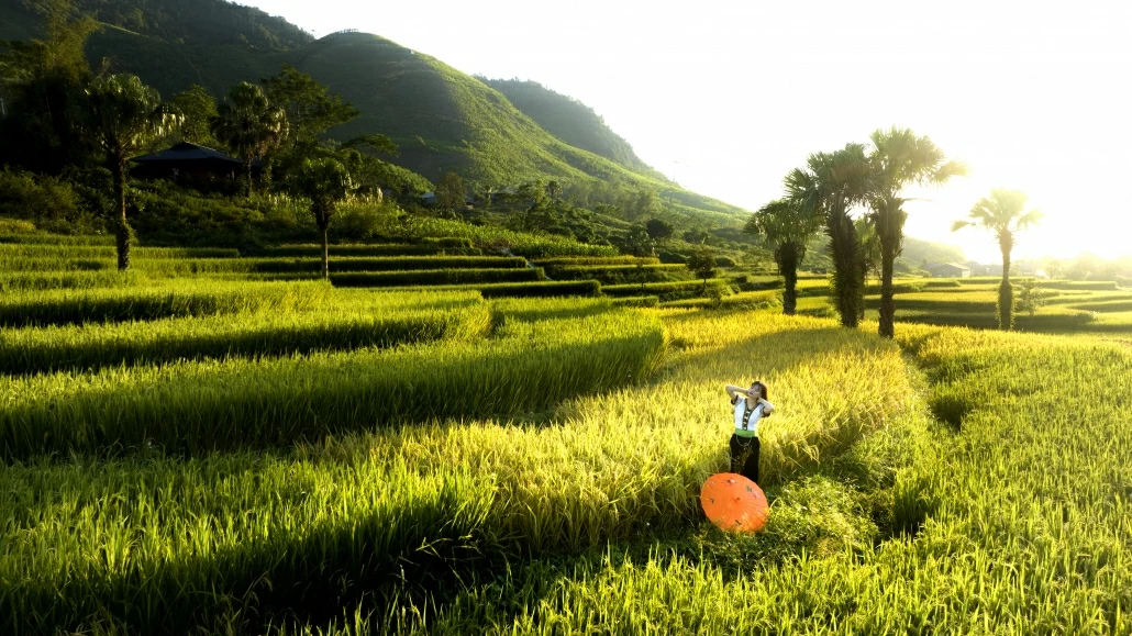 [Photo] Mùa lúa ở Bản Tèn