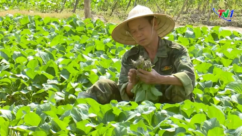 Hiệu quả từ chương trình vốn vay giải quyết việc làm