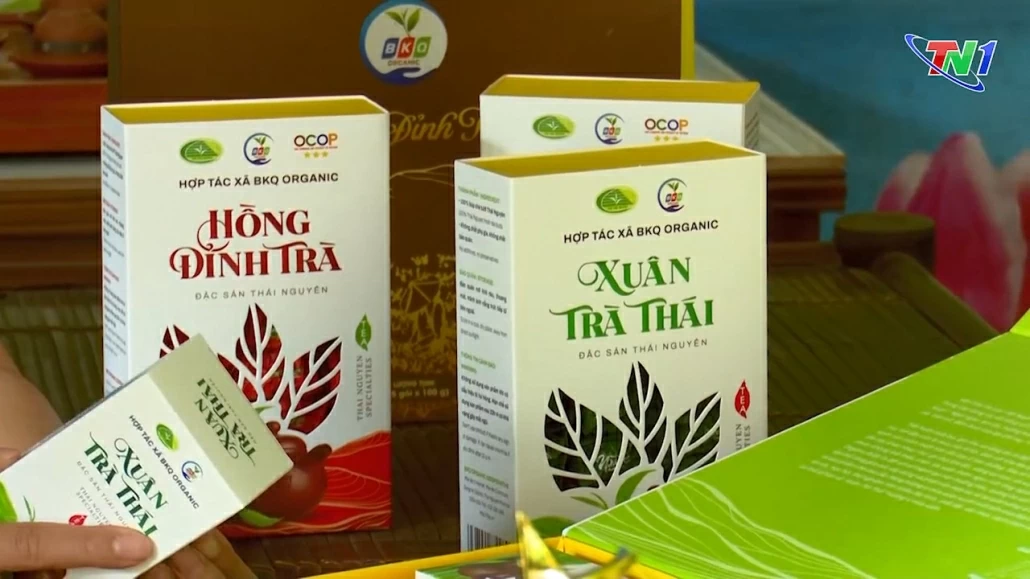 Đồng Hỷ chú trọng phát triển kinh tế Hợp tác xã