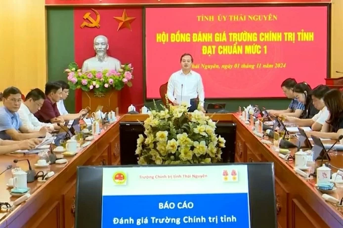 Cà Mau: Thương lái thu mua quả và lá nhàu để làm gì?